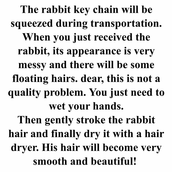 Rex Rabbit key ring - Picture 8 of 8